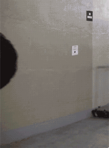 File:Tumblr log5kz12C61qzr335.gif