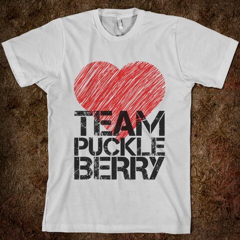 File:Team-series-puckleberry.american-apparel-unisex-fitted-tee.silver.w760h760.jpg