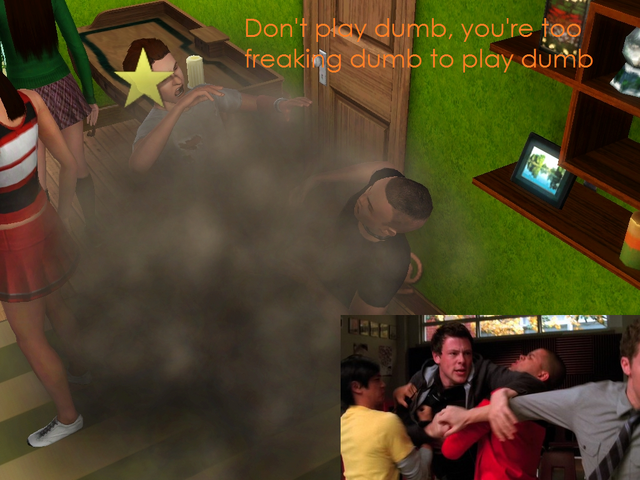 File:Fight sims.png