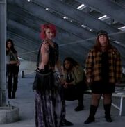 Skanks.jpg
