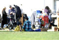 Thumbnail for version as of 01:43, December 7, 2011