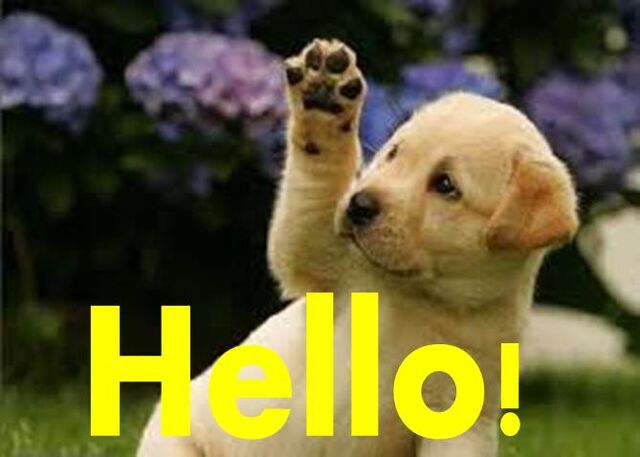 File:Hello!.jpg