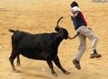 Thumbnail for version as of 00:11, December 9, 2010