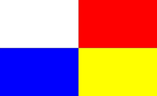 Archivo:Banderafmi1.jpg