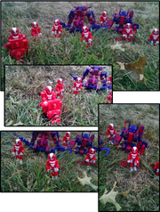 Nazareen002 collage