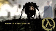 RTWF poster 1