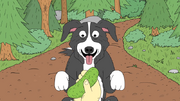 Mr.-Pickles