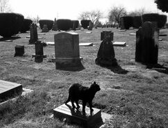 GraveYard