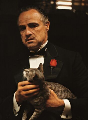 File:Don Vito.jpg