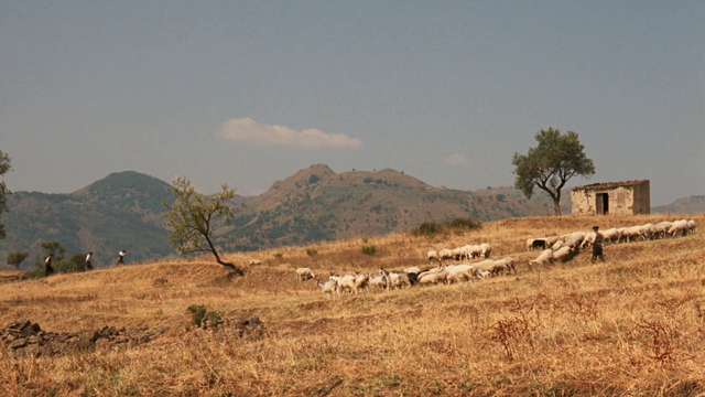 File:Vlcsnap-2010-02-28-19h49m43s18.png