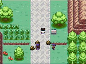 Route 15
