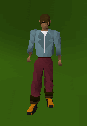 Lavaboots
