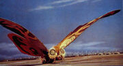Mothra showa 09