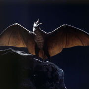 Godzilla.jp - Rodan 1993