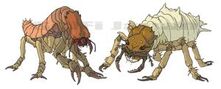 300px-Mutant Termite.jpg