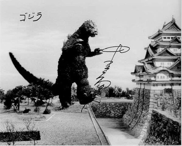 File:NakajimaMvsG.jpg
