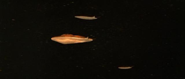 File:Natarl UFOs.png