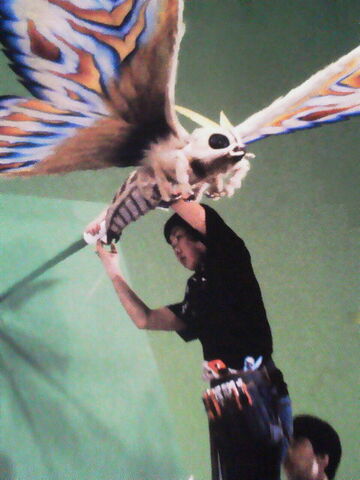 File:Eternal Mothra 2.jpg