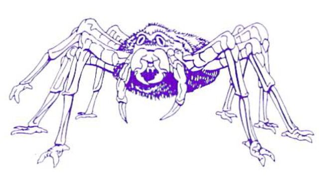 File:Tarantus MMG.jpg
