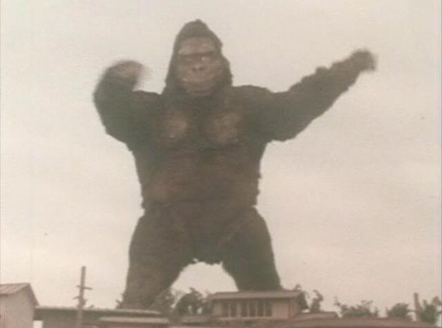 File:Gorilla ike.jpg
