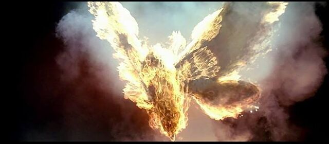 File:Mothra is being Burned.jpg