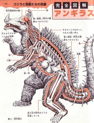 File:A furious skeletonimage.jpeg