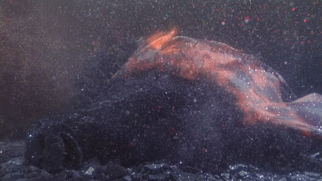 File:Fire Rodan's sacrifice.png