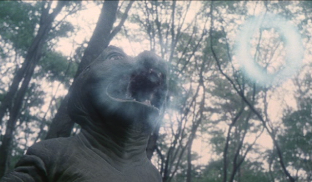 Datei:Minilla.png