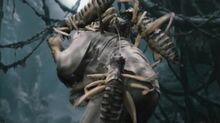 Wetarex