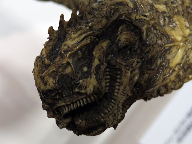 File:Shingoji tail2.jpeg