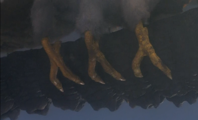 File:Godzilla And Mothra The Battle For Earth - - 7 - Mothra has chicken feet.png