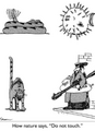 Thumbnail for version as of 15:37, March 20, 2010