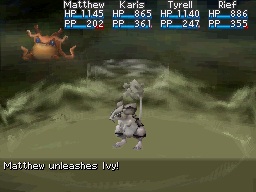 Image21
