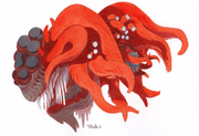 Tals actinia
