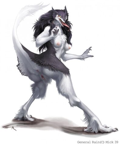 File:Featherbutt.jpg