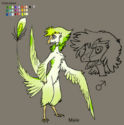 Malenev