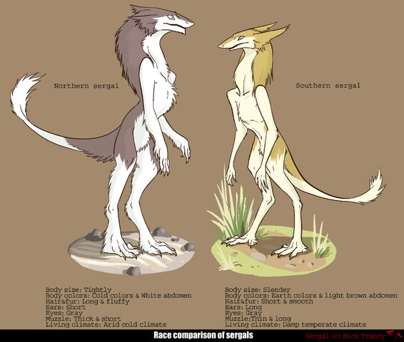 File:Sergalcomparison.jpg