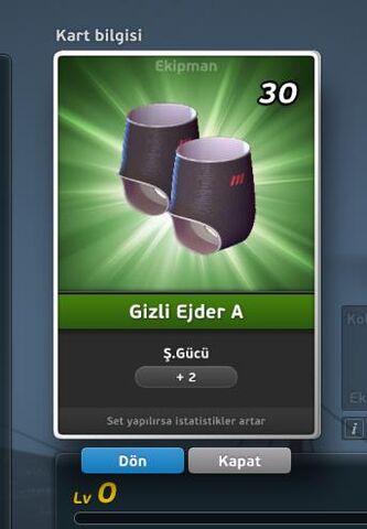 File:Gizli Ejder A Bacak.jpg