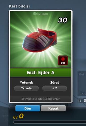File:Gizli Ejder A Krampon (Trivela) Ön Yüz.jpg