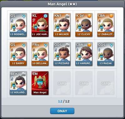Man Angel Takım