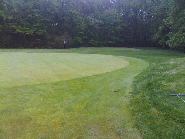 File:Pcc i 13th green.jpg