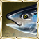 Plik:Giga i zwykly tuna.PNG