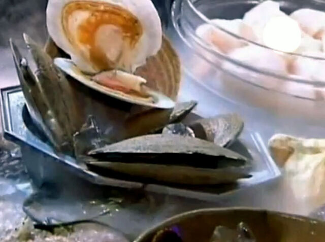 File:Morimoto vs. Donna.jpg
