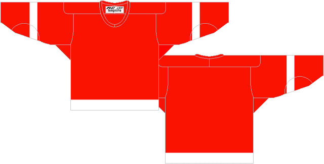 File:RedWings-Road.gif