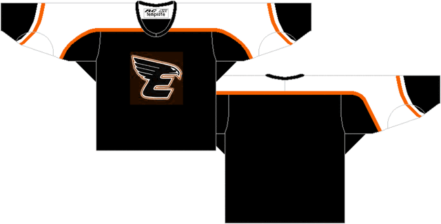 File:Eagles Third Jersey.gif