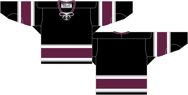 File:MightyDucks-Alternate.gif