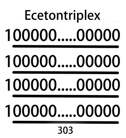 ファイル:Ecetontriplex.jpg