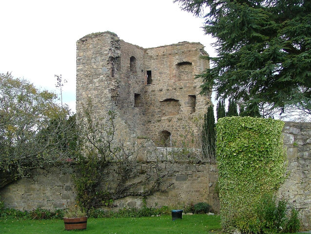 File:Drumin-1.jpg