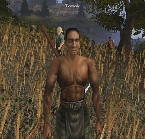 Soubor:Tonak.jpg