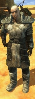 Paladino Gladiatore.jpg